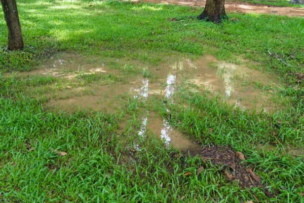 Storm Water Drainage Service in Seattle
