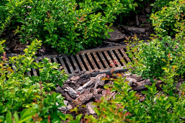 Cost of Underground Drainage Service in Seattle