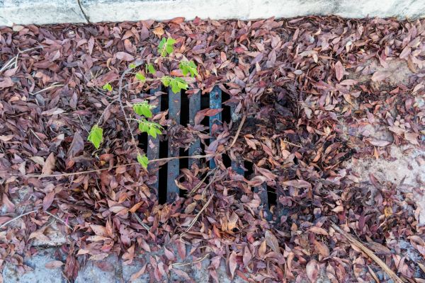 Yard Drain Unclogging in Seattle