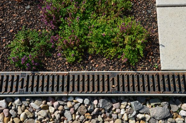 Cost of Yard Water Diversion in Seattle
