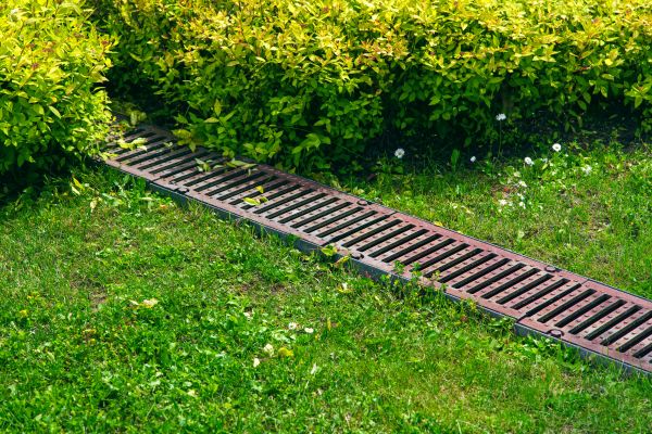 Cost of Lawn Drainage in Seattle