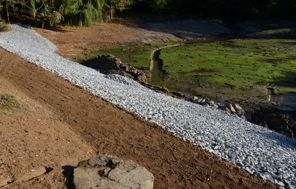 Cost of Landscape Swales Installation in Seattle