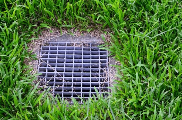 Yard Drainage Service in Seattle