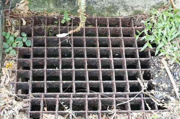 Cost of Yard Drain Cleaning in Seattle