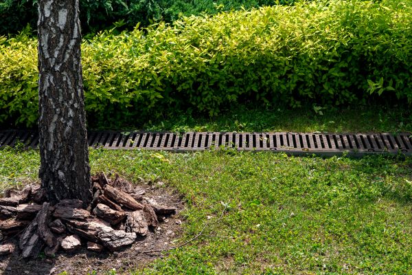 Cost of Wet Yard Drainage in Seattle