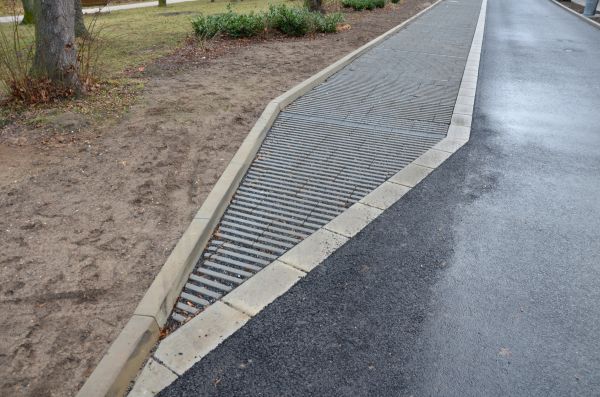 Cost of Muddy Yard Drainage in Seattle