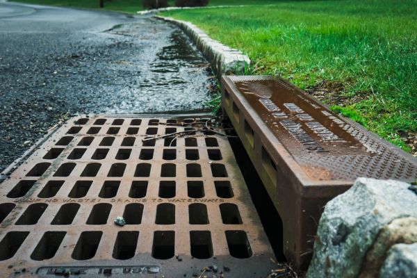 Cost of Storm Drain Repair in Seattle