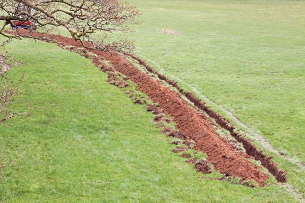Cost of Swale Installation in Seattle