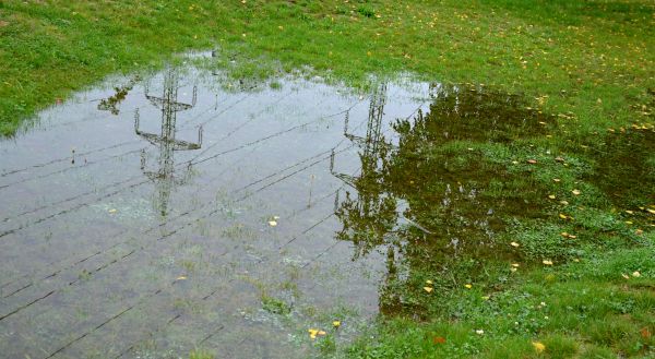 Standing Water Drainage in Seattle