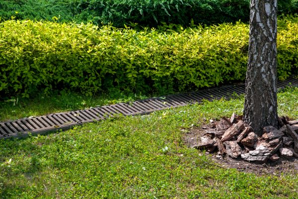 Residential Landscape Drainage in Seattle