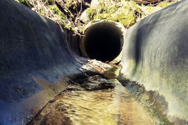 Drainage Swale Installation in Seattle