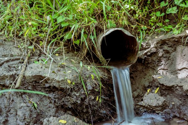 Drainage Tile Repair in Seattle