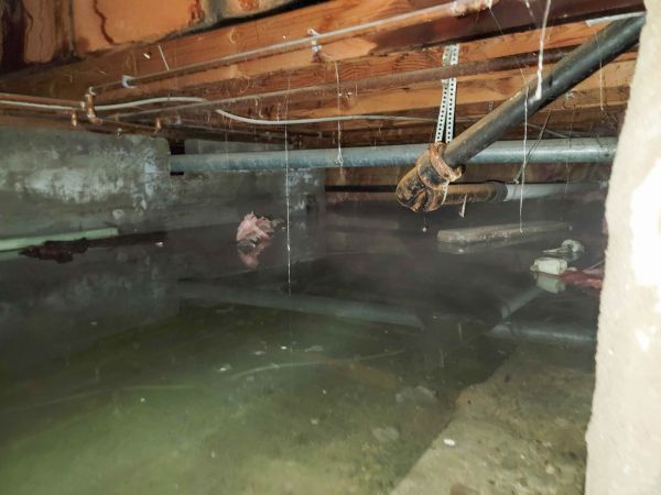 Cost of Crawlspace Drainage in Seattle