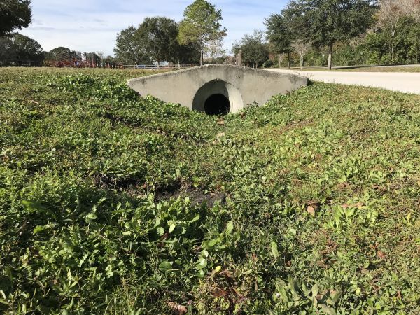 Cost of Swale Drainage Service in Seattle
